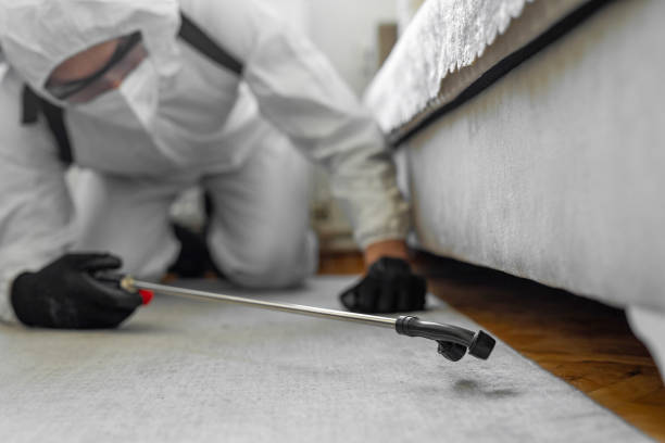 Professional Pest Control technician working in Bokeelia, FL